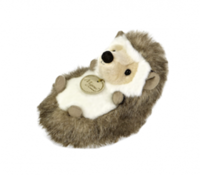 Aurora - Miyoni - 7" Hedgehog - Recognized as one of New Jersey's Best ...