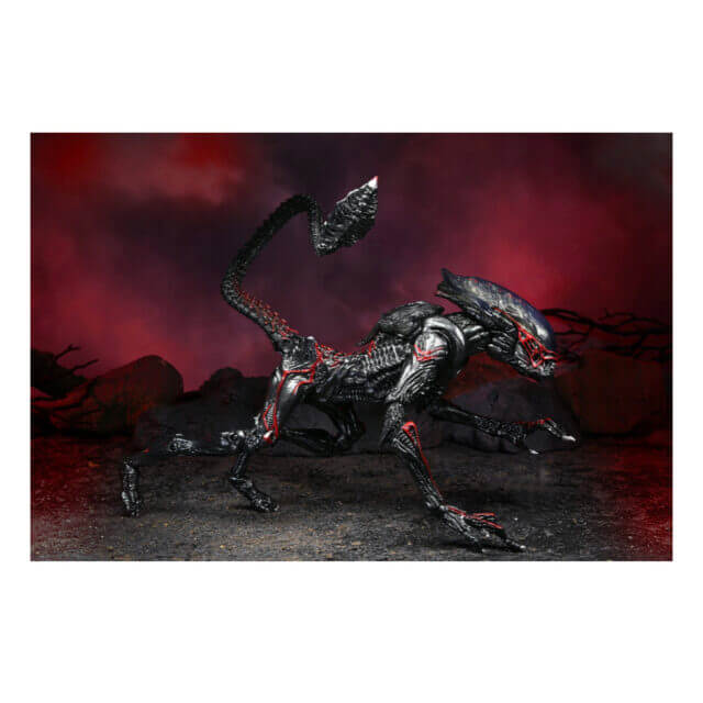Aliens - Kenner Tribute Ultimate Night Cougar Alien 7" Scale Action Figure